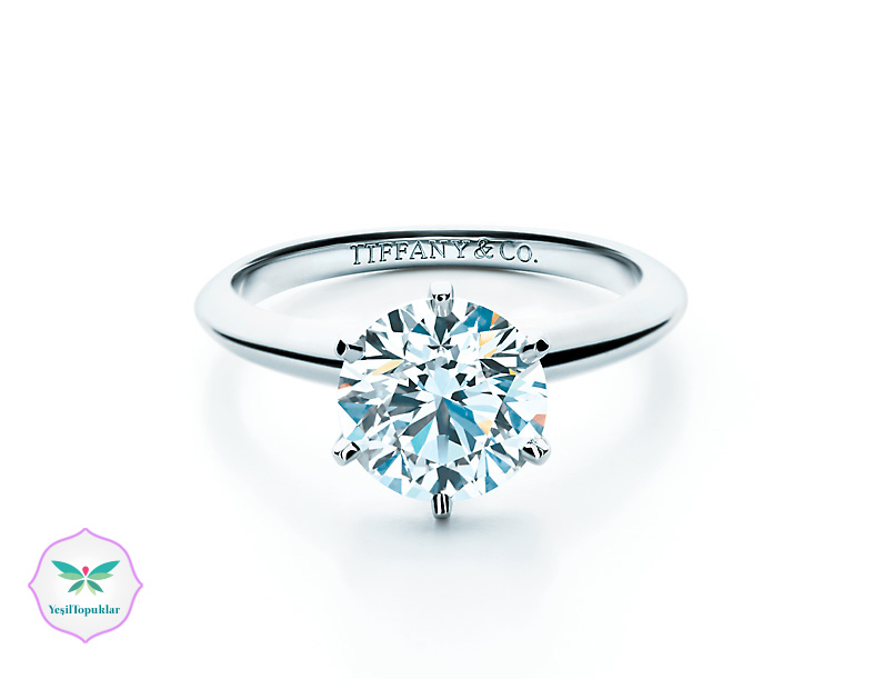 Tiffany & Co. Takı-Aksesuar Modelleri-1