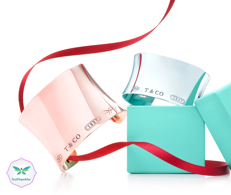 Tiffany & Co. Takı-Aksesuar Modelleri-3