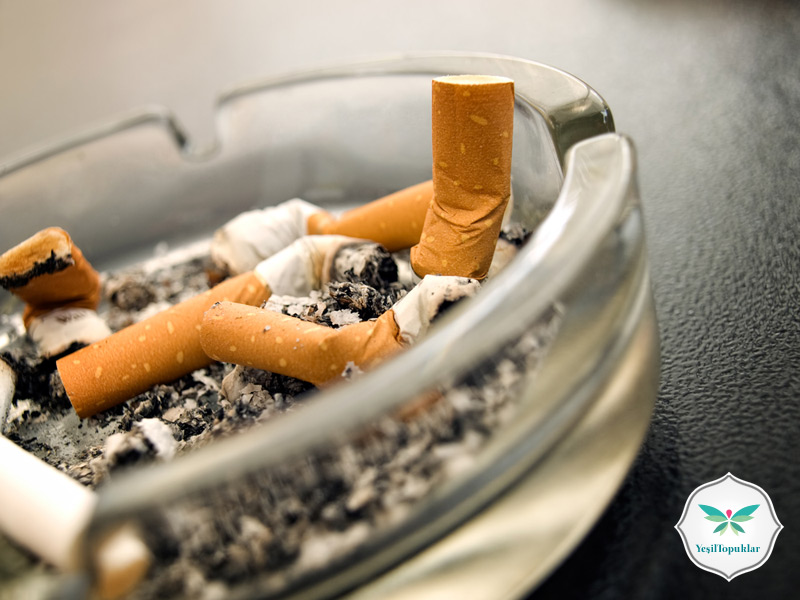 Sigaranın Sağlığımıza Zararları