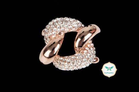 Armine 2013 Takı Modelleri-7