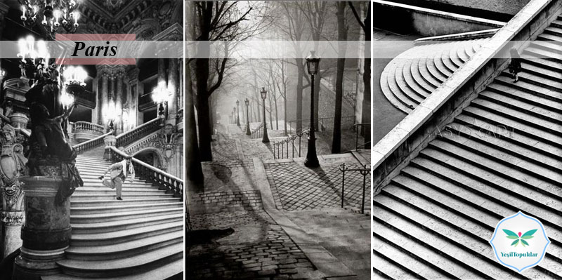 Dünya Şehirlerinden Merdiven Fotoğrafları