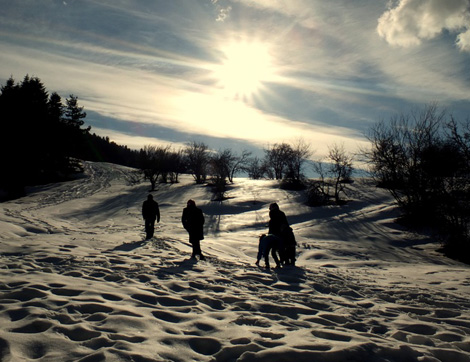 Türkiye'nin Önde Gelen Kayak Merkezlerinde Kış Tatili