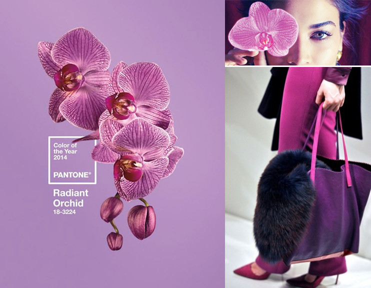 Pantone 2014 Yılının Rengi Parlak Orkide Moru