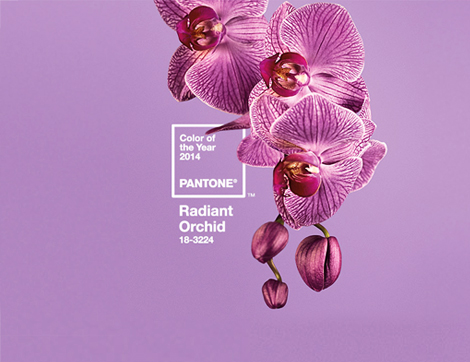 Pantone 2014 Yılının Rengini Açıkladı “Parlak Orkide Moru”