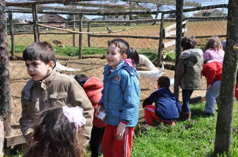 Haftasonu Gezi Önerisi Göçmen Ranch Binicilik Tesisleri