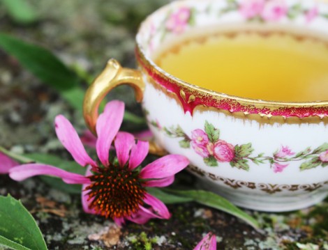 Metabolizmayı Kışa Hazırlayacak Bitki Çayları ( Ekinezya)