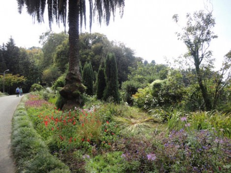 Botanik Bahçesi Batum