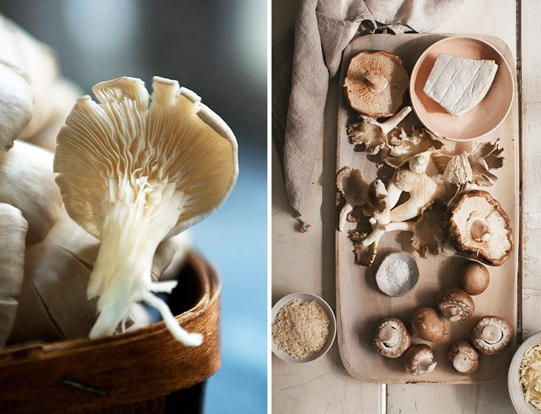 İstiridye Mantarı Resimlerle Tesettür Giyim Modelleri ve Online