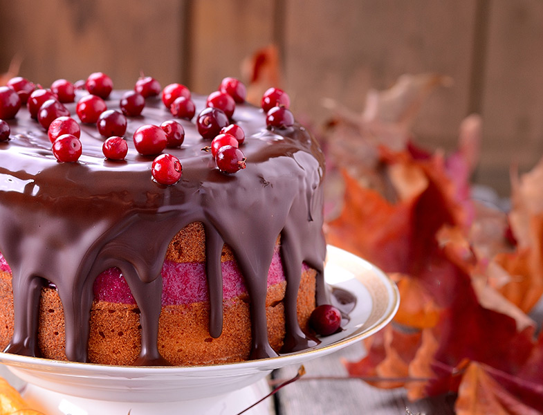Yazdan Kalma Kızılcık Meyvesi Olanlara Nefis Bir Pasta