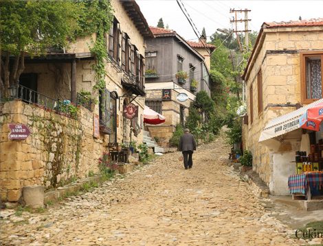 Türkiye’nin Oksijen Mabedi Altınoluk Yeşilyurt Köyü
