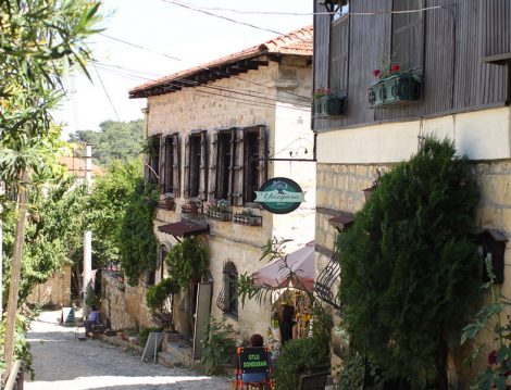 Türkiye’nin Oksijen Mabedi Altınoluk Yeşilyurt Köyü