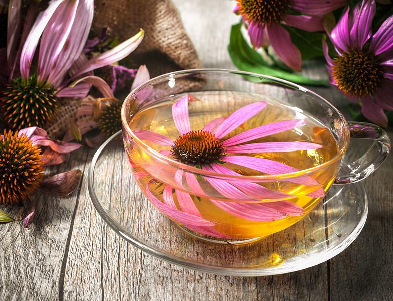 Bitki Çaylarıyla İlgili 8 Önemli Uyarı
