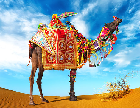 kurban neden kesilir | Resimlerle Tesettür Giyim Modelleri ve Online