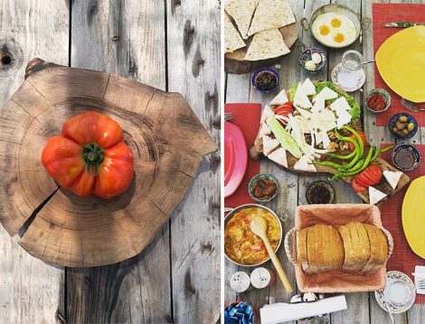 Çiftlikköy Organik Yaşam Köyü Dalından Sebzelerle Kahvaltı