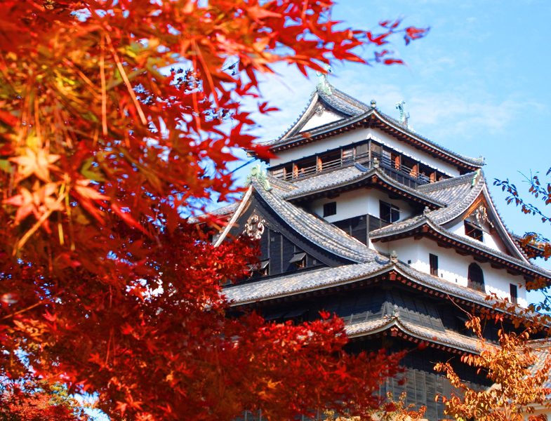 Muhafazakar Kültür Turları Japonya Turu