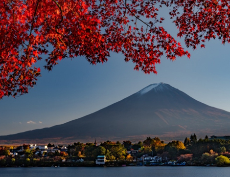 Japonya’nın Koyo Zamanı Güzelliğine Tanık Olun