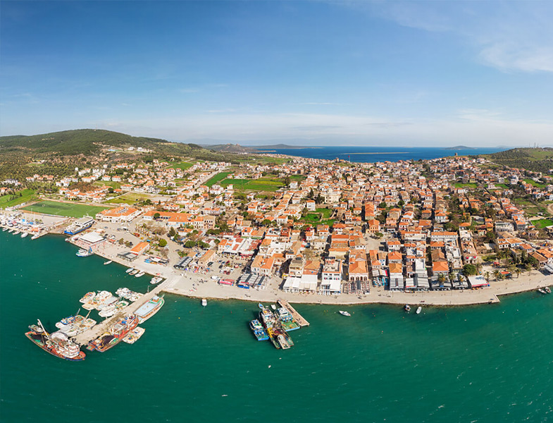 Ayvalık Zeytinyağından Susurluk Ayranına Balıkesir�in Coğrafi İşaret