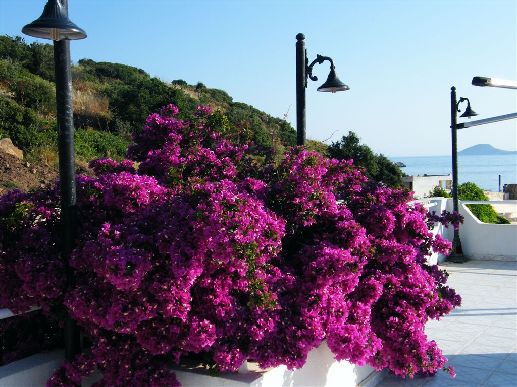 balbeachotel_20_1