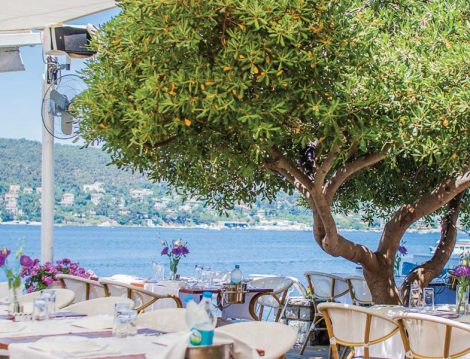 Muhafazakar Tatil Sedef Adası