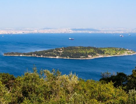 Muhafazakar Tatil Sedef Adası