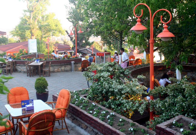 Bambi Cafe O Ağacın Altı’nda