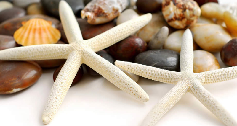 Alternatif Turizmde Yeni Adresiniz “Adin Beach Hotel”