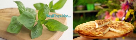 Ramazan-İftar-Menüleri-2012-İftar-Menü-Tarifleri