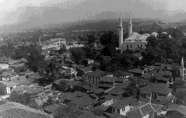 Ayşegül Aldemir Yazıları