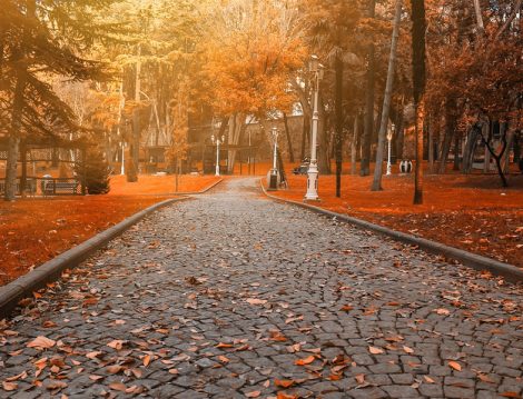 İstanbul'da Sonbahar Gezileri 