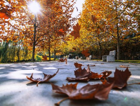 İstanbul'da Sonbahar Gezileri 
