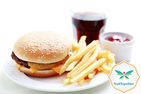 Hamburger ve Kolanın Zararları