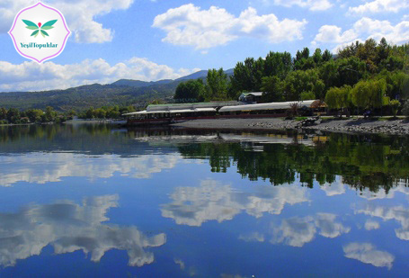 Maşukiye