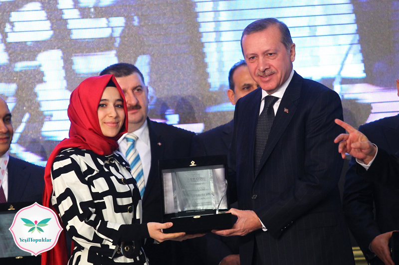 Süheda-Aydın-Şüşütown-Tasarımları
