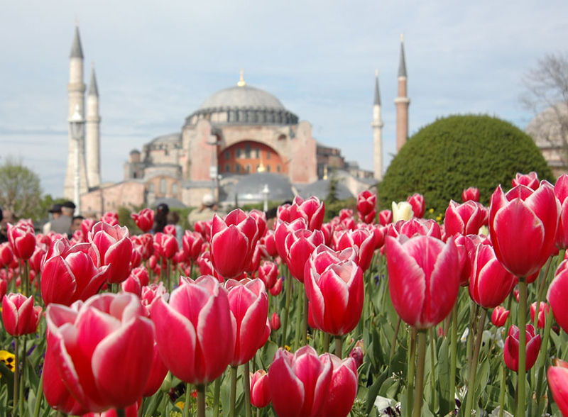 İstanbul'da-Lale-Zamanı