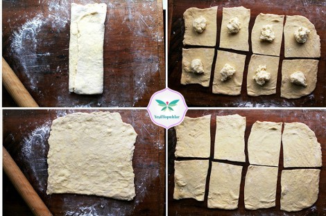 Çıtır Peynirli Börek  (4)