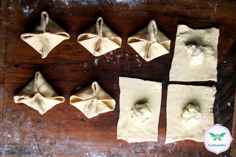 Çıtır Peynirli Börek  (6)