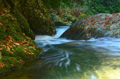 Karadeniz'i Sonbaharda Gezmeli