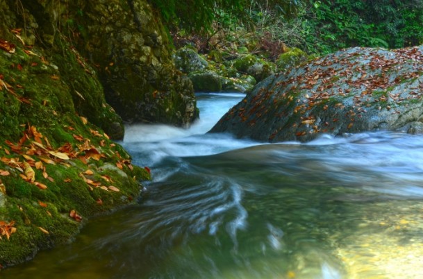 Karadeniz'i Sonbaharda Gezmeli