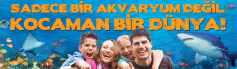 İstanbul Kültür Sanat Etkinlikleri