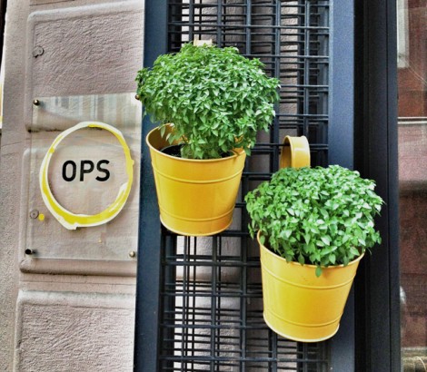 Alkolsüz Mekan Önerileri İstanbul Ops Cafe Beyoğlu