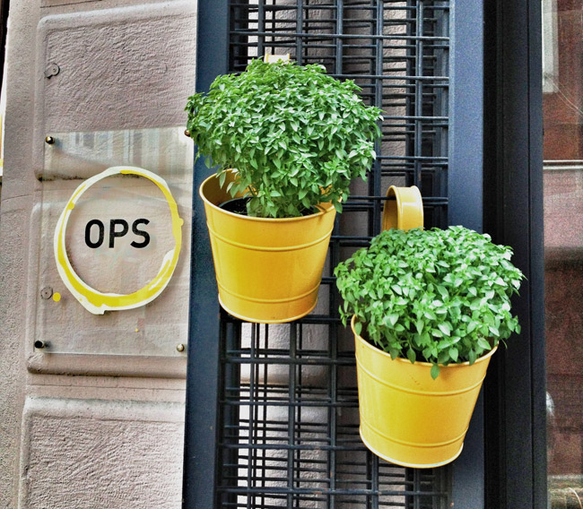 Alkolsüz Mekan Önerileri İstanbul Ops Cafe Beyoğlu