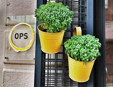 Bir Kitap, Bir Kahve ve Bir de Ops Cafe!