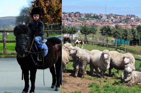 Haftasonu Gezi Önerisi Göçmen Ranch Binicilik Tesisleri