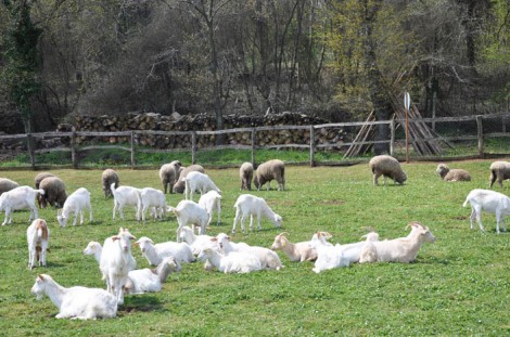 Haftasonu Gezi Önerisi Göçmen Ranch Binicilik Tesisleri