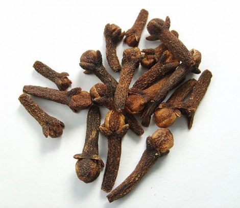 Karanfil