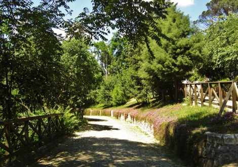 Mihrabad Korusu