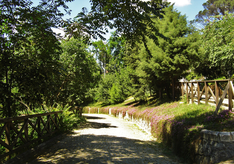 Mihrabad Korusu