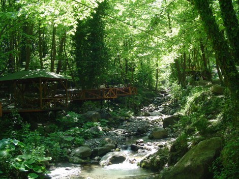 Polonezköy Tabiat Parkı