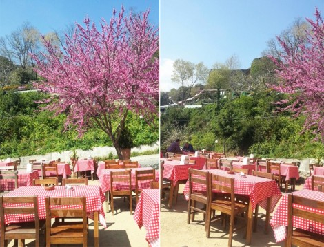 Çam Vadisi Cafe Anadolu Kavağı