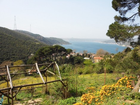 Çam Vadisi Cafe Anadolu Kavağı